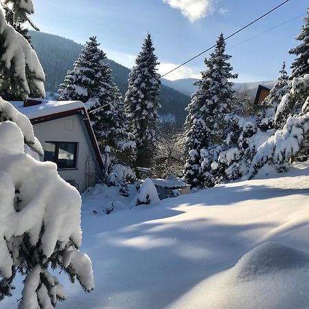 Domek Koziolek Przy Szlaku, Szyndzielnia, Klimczok, Szczyrk, Bania Bystra  المظهر الخارجي الصورة